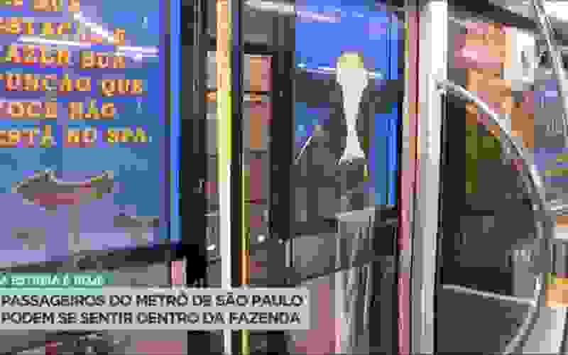 Confira o vagão do metrô de São Paulo inspirado em A Fazenda 15