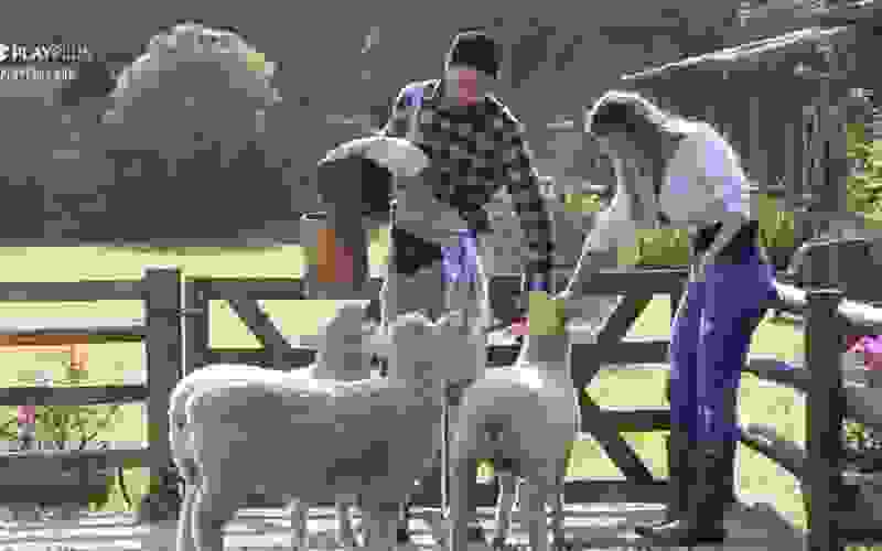 Rico Melquiades apresenta ovelhas para Erika Schneider: "Carinhosa e Assustada" - A Fazenda 13